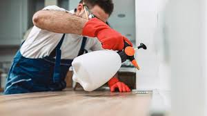 Professional Pest Control in Villas, FL